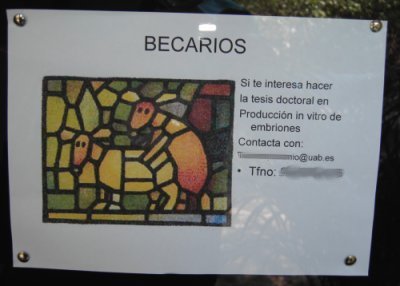 Se cerquen becaris